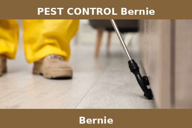 PEST CONTROL Bernie